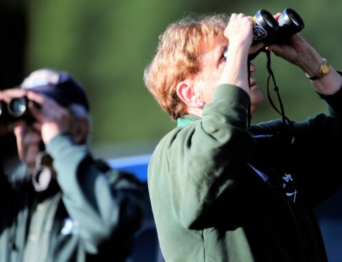 Alan Devoe Bird Club Spring Migration Bird Walk