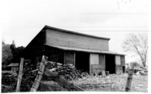 Picture9